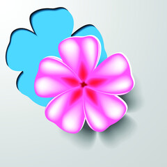 Paper cut frangipani flower (plumeria) background, art concept