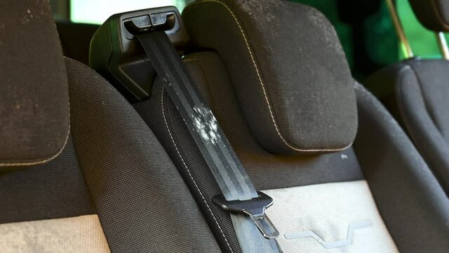 Close up of mold on a car seat belt that has been left unused for several months