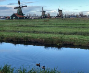 Windmill holland 