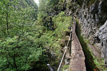Portugal - Madeira - Levada do Caldeirão Verde
