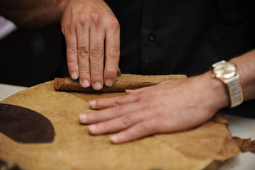 rolling cigars