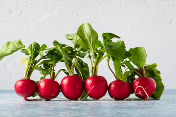 Six radishes lined up in a straight row.