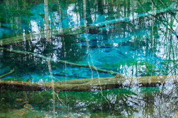 阿寒摩周国立公園　神の子池