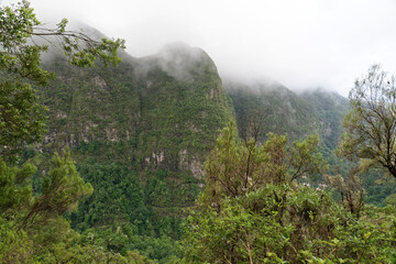Portugal - Madeira - Levada do Caldeirão Verde