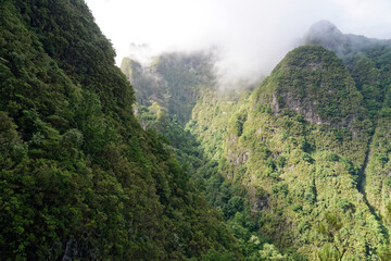 Portugal - Madeira - Levada do Caldeirão Verde