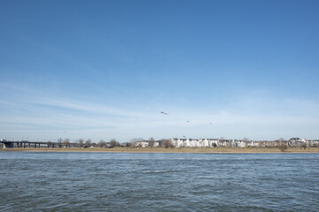 Naklejka premium Outdoor sunny view of people play and fly kite on natural park field on riverside of Rhine River, and background of cityscape Düsseldorf, Germany.