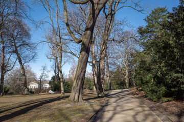 Outdoor tranquil scenery on path at Hofgarten park in Düsseldorf, Germany during winter and spring season.
