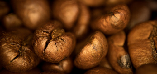 Freshly roasted Coffee Beans - sliding macro shot