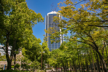 神戸・東遊園地の並木道
