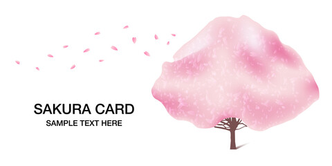 Fototapeta premium 桜の木, 春, 花びらのベクターイラスト白バック背景素材