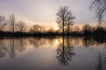 Fototapeta na wymiar Bäume am Flussufer bei Sonnenuntergang 