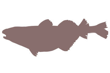 鱈　シルエット