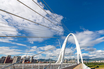 Cable-stayed bridge 