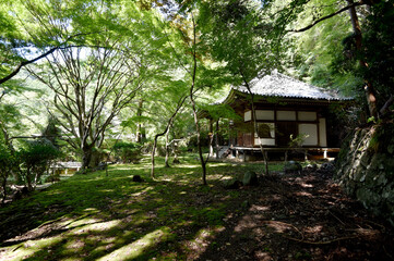 金蔵寺　開山堂　京都市