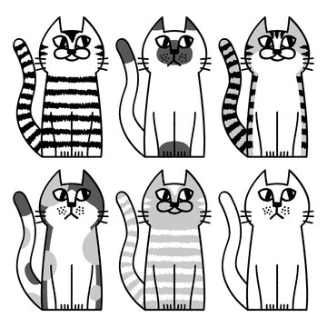 Cat Pattern Animal Pet Creature
