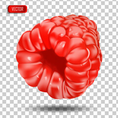 Appetizing fresh raspberries isolated on a transparent background. Realistic vector illustration
