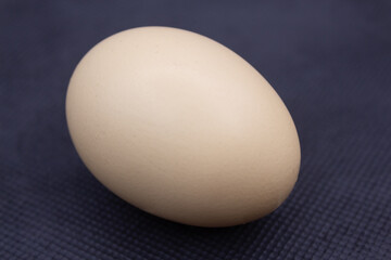 Healthy and delicious egg photography