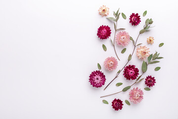 Flower composition. Eucalyptus branches and dry flowers on white background. Flat lay. Top view. Copy space - Image