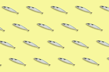 Fresh mackerel fish .