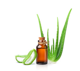 Aloe vera essential oil extract with fresh plant and sliced isolated on white background.