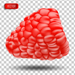 Appetizing fresh raspberries isolated on a transparent background. Realistic vector illustration