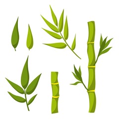 Bamboo with green stems and leaves. Vector flat isolated illustration.