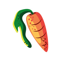 carrot vegetable food