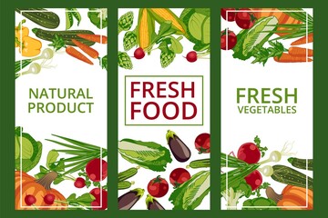 Fresh food card templates set. Organic healthy vegetables and products. Natural eco friendly food store, market, packaging and advertising banner design flat vector illustration