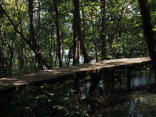 Plitvice Lakes National Park. Croatia 