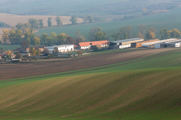 Moravian hills in golden autumn
