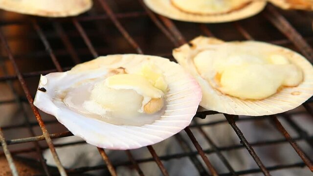 Grilling   scallops with cheese, Thai street food