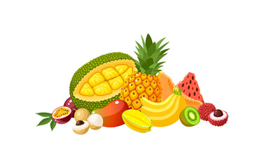 Design composition of tropical fruits: jackfruit, pineapple, banana, watermelon and many other. Vector illustration flat cartoon icon isolated on white background.