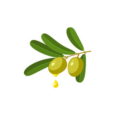 Oil drop on branch with green olives. Vector illustration of cartoon flat icon isolated on white background.