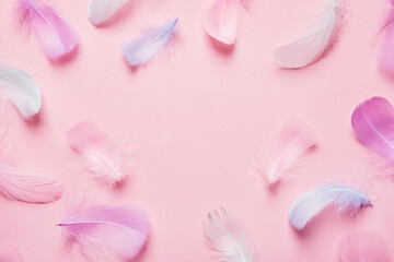 Obraz na płótnie Canvas Abstract background with soft pink feathers. Monochrome Flat lay frame