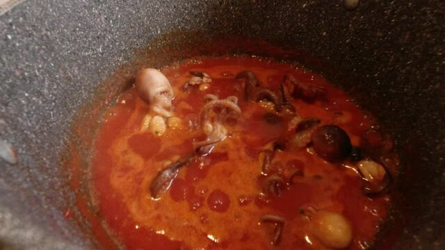 Slow cooking baby octopus with tomato sauce, Italian recipe.