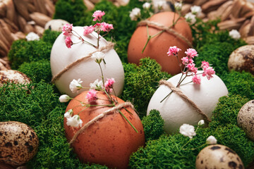 Easter eggs with natural flowers decor laid out on platter with moss close-up, soft focus. Zero...