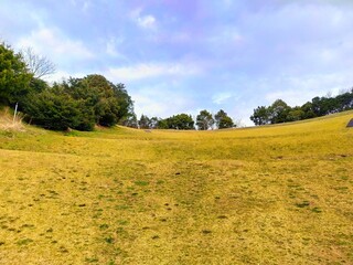 坂滑りができそうな芝生の丘の風景