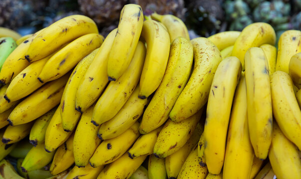Bundles of ripe sweet bananas at farmers market