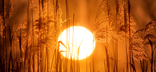 Die Sonne scheint bei einem intensiven Sonnenuntergang an einem See. Das Gegenlicht beleuchtet...