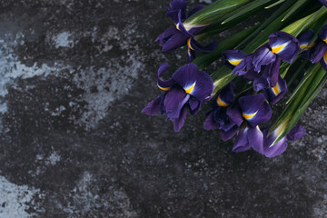 Blue irises on dark background, place for text.