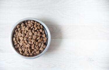 Bowl with dog food close-up and space for text, top view