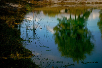 A minimal abstract nature scene of silhouetted watergrass and the reflection of a tree, clouds, and blue sky on the ripppled water of a rural Missouri pond.