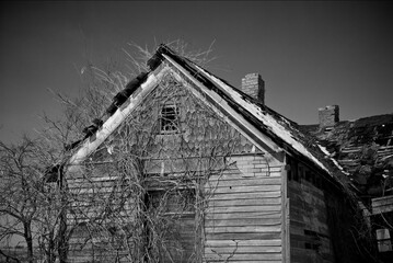 A black-and-white rural Missouri winter landscape detail of a vine covered delapidated abandoned house partially covered in snow.