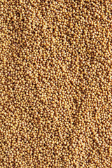 Mustard seeds background