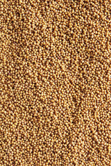 Mustard seeds background