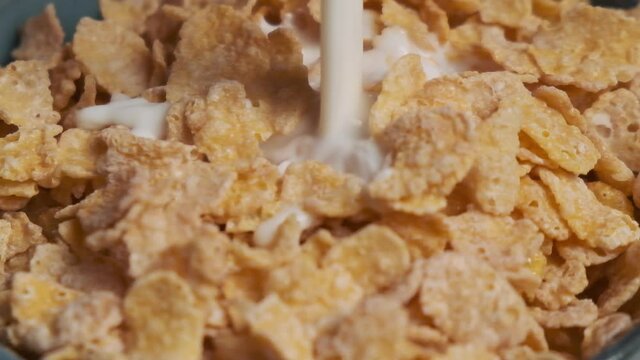 Close Up Milk Pour On Cornflakes Cereal in Blue Bowl
