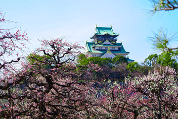 大阪城の梅林（2021年）