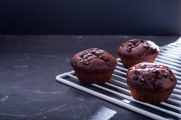 Several chocolate muffins in a cleaned baking rack. Front view. A ray of light from the window.