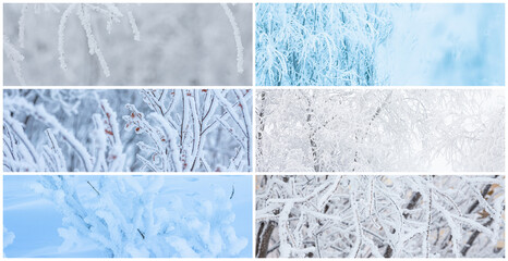 Collection of winter panoramic backgrounds with trees and bushes covered with hoarfrost. Snow and rime ice on the branches. Hoar frost on plants. Cold snowy weather. Set of cool frosting textures.