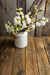 Fototapeta na wymiar cherry flower blossom branch in enamel milk canister vase, old weathered wooden background
